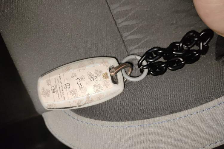 Used ORA Black Cat 2022 Updated Version 301 km Cute Pet Edition Lithium Iron Phosphate