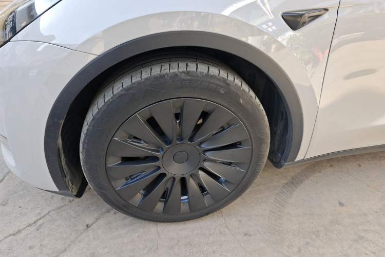 Used Tesla Model Y 2021 Standard Range Rear-Wheel Drive Version
