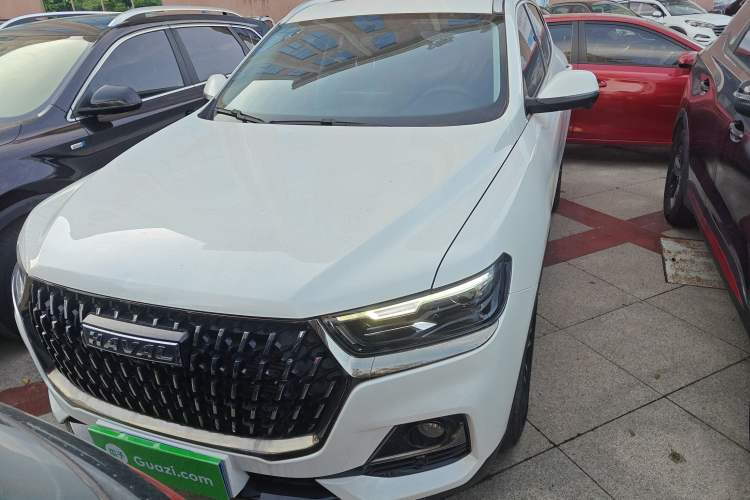 Used Haval H6 2023 National Trend Edition 1.5T Automatic Urban Version
