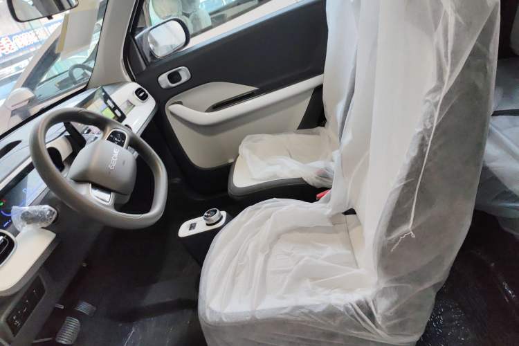Used  Panda 2025 210 km – Yuanqi Bear
