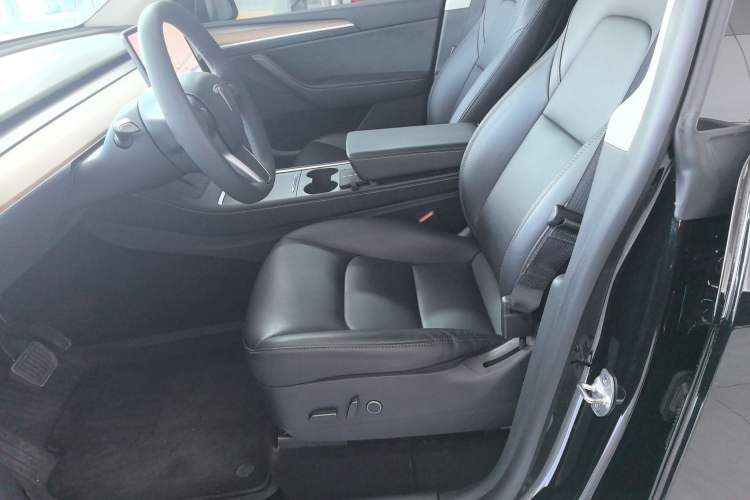 Used Tesla Model Y 2021 Standard Range Rear-Wheel Drive Version
