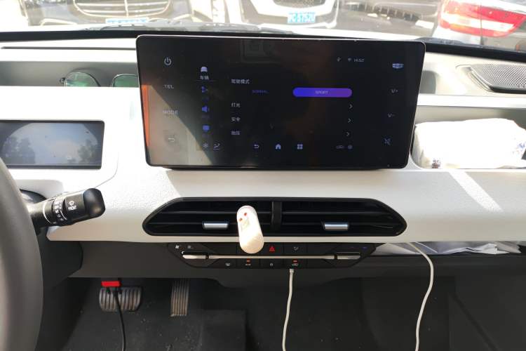 Used  Panda 2024 Panda Mini 200km Endurance Bear
