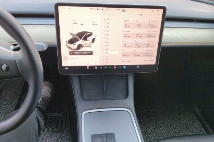 Used Tesla Model Y 2021 Standard Range Rear-Wheel Drive Version
