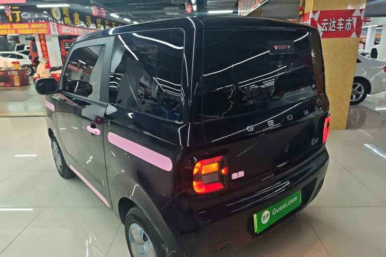 Used  Panda 2023 Panda Mini 200km Endurance Bear