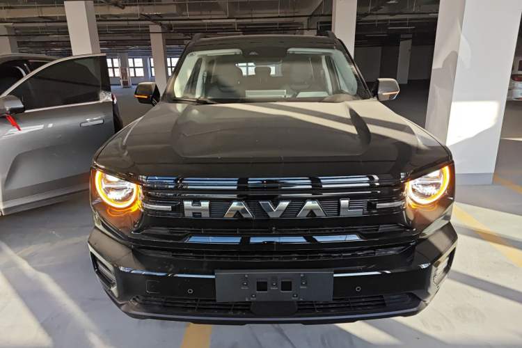 Used Haval H Dog New Energy 
