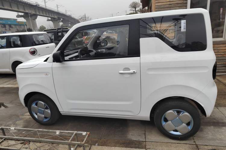 Used  Panda 2024 Panda Mini 200km Endurance Bear
