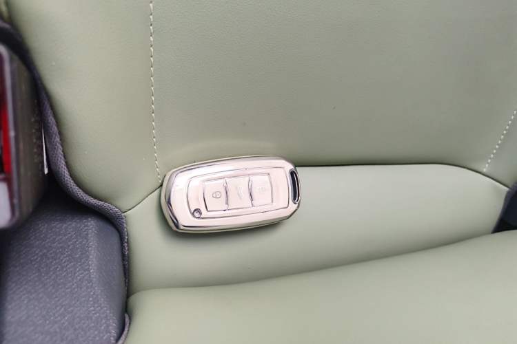 Used  Panda 2023 Panda Mini 200km Endurance Bear
