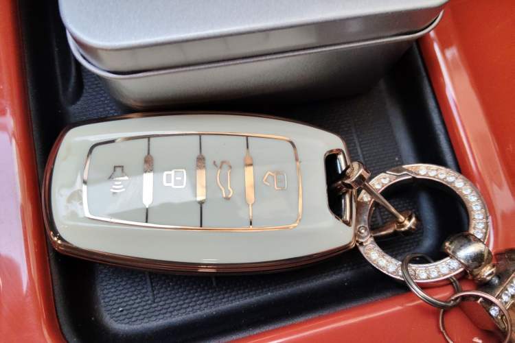 Used Haval DARGO 2021 1.5T DCT Two-Wheel Drive Border Collie Edition
