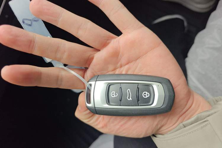 Used  Panda 2024 Panda Mini 200km Endurance Bear
