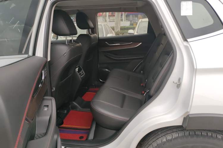 Used  Zhuifeng 2020 Chasing the Waves Edition 1.5T CVT Xingrui Version
