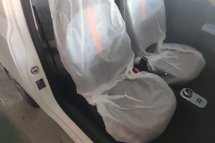 Used  Panda 2024 Panda Mini 200km Endurance Bear