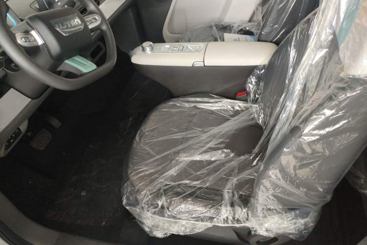 Used  Lumin 2025 205 km Xiangqin Version