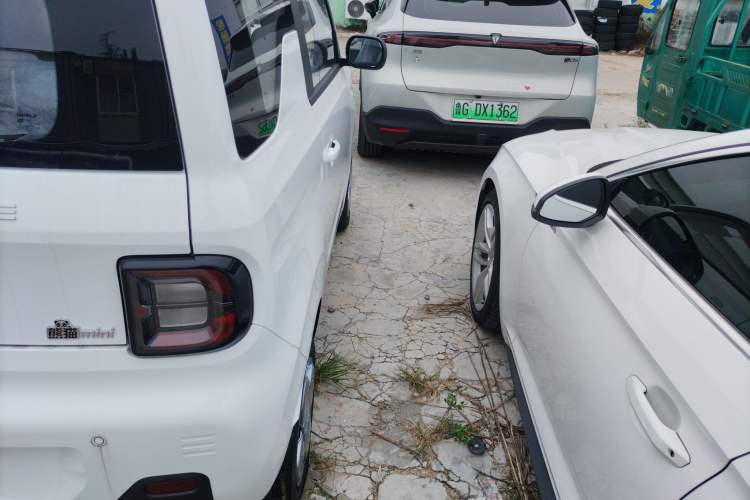 Used  Panda 2024 Panda Mini 200km Endurance Bear
