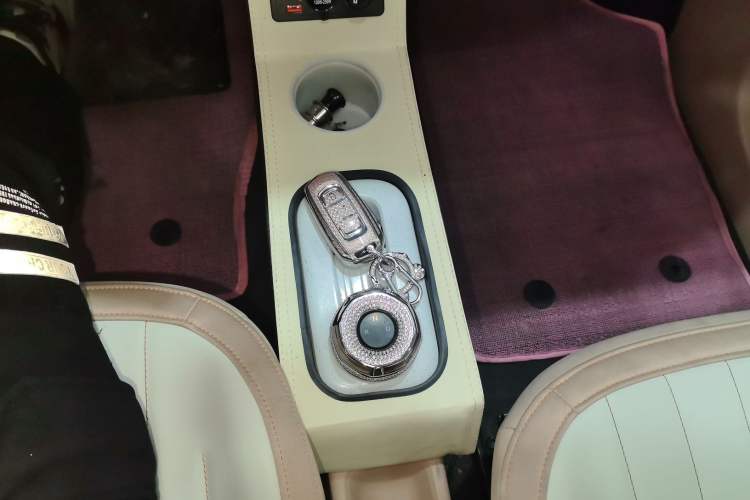 Used  Panda 2023 Panda Mini 200km Dynamic Bear
