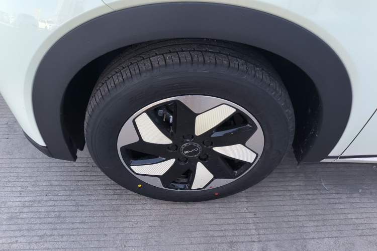 Used BYD Dolphin 2025 420km Free Edition