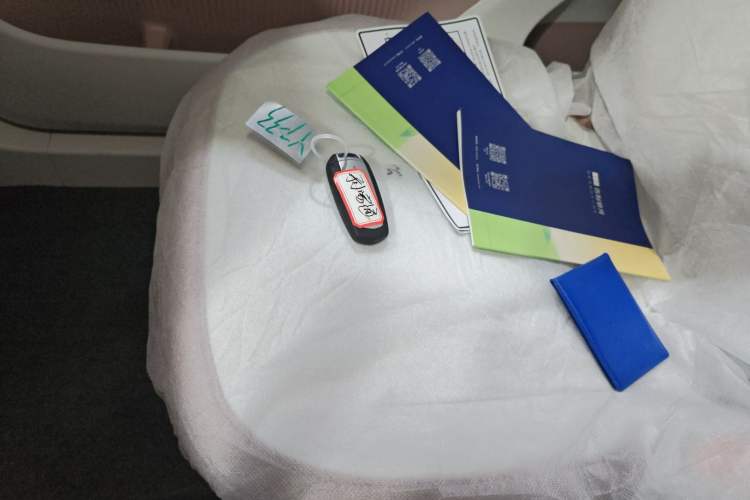 Used  Panda 2025 210 km – Yuanqi Bear
