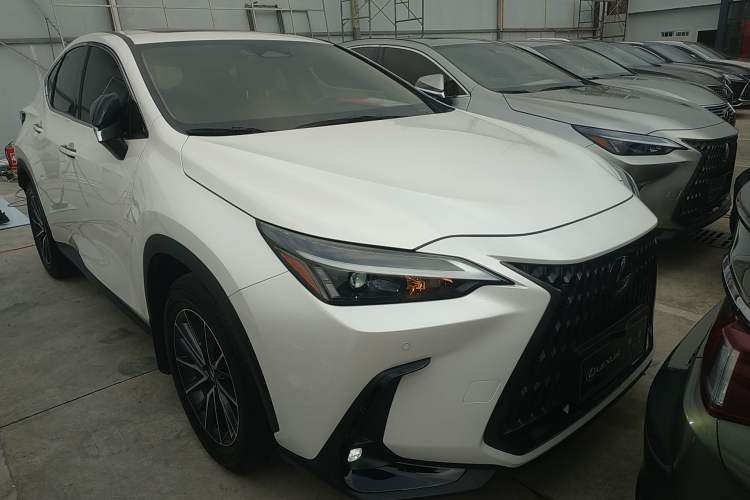 Used Lexus NX 2023 260 Front-Wheel Drive Chuan Yue Edition
