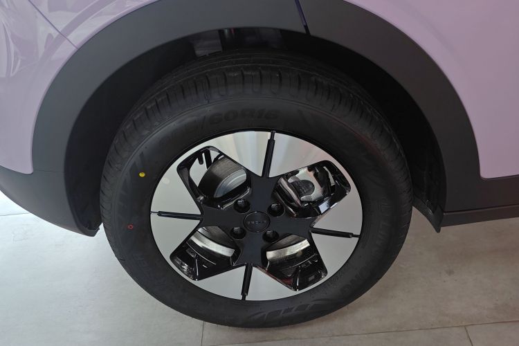 Used  Geome 2025 310km Dream Edition
