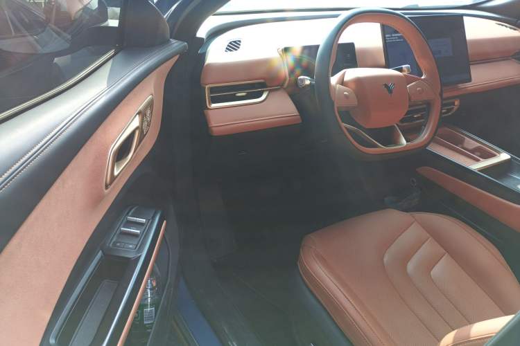 Used NETA X 2023 500
