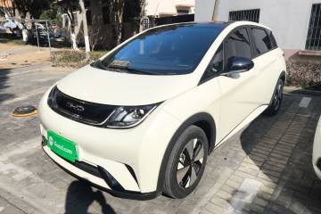 Used BYD Dolphin 2023 420 km Fashion Edition