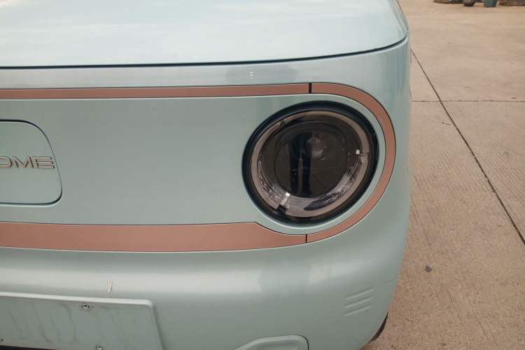 Used  Panda 2024 Panda Mini 200km Endurance Bear
