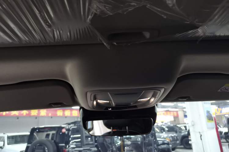 Used Tank 300 2024 2.0T Conqueror