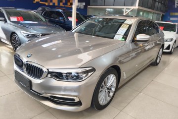 Used BMW 5 Series 2020 530Li Leading Edition Luxury Package