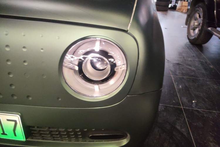 Used ORA Black Cat 2022 Updated Version 301 km Cute Pet Edition Lithium Iron Phosphate