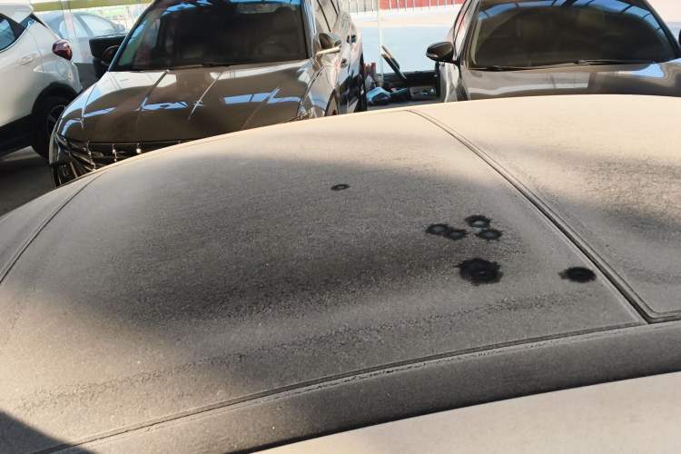 Used Hyundai Mistra 2019 1.6T Automatic Smart GLS China VI Standard