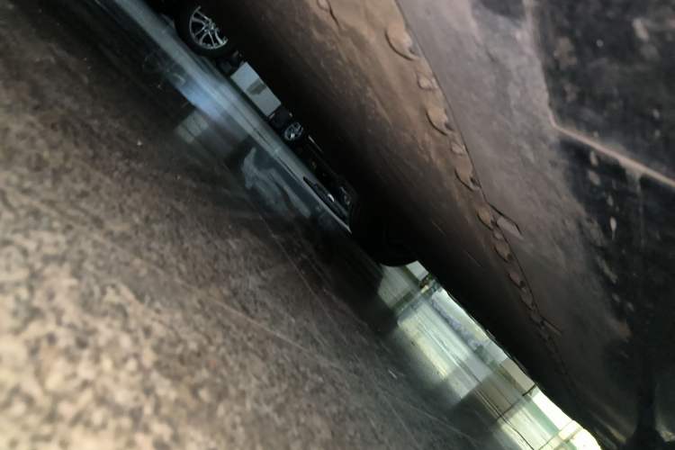 Used  07 2024 Max Pure Electric Edition
