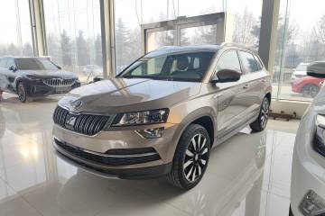 Used Skoda Karoq 2018 TSI280 Luxury Edition China V Standard