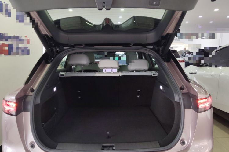 Used VOYAH COURAGE 2024 Four-Wheel Drive Global Edition
