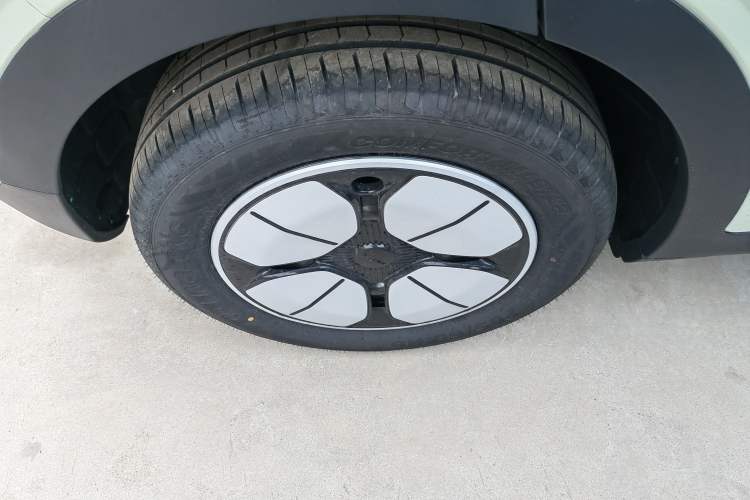 Used  Geome 2025 310km Youth Edition
