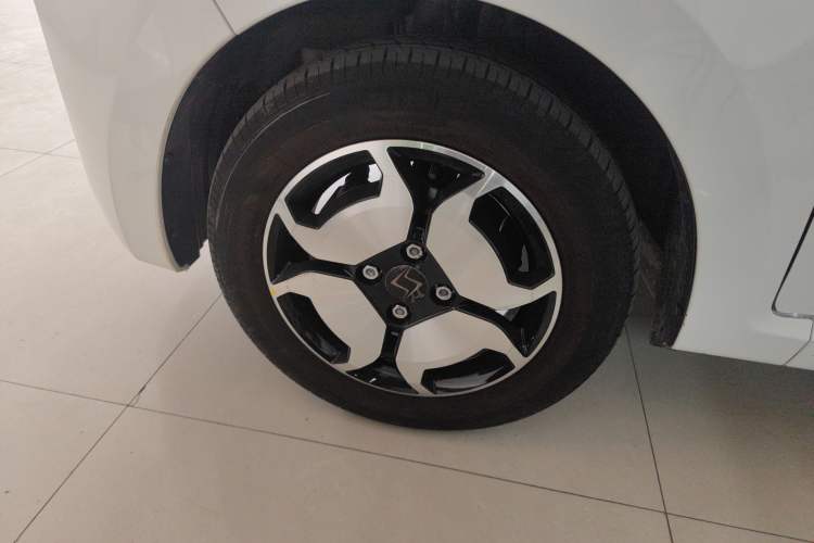 Used SOL E10X 2022 Flower Fairy Design Four-Leaf Clover