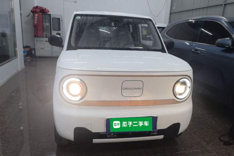 Used  Panda 2024 Panda Mini 200km Endurance Bear
