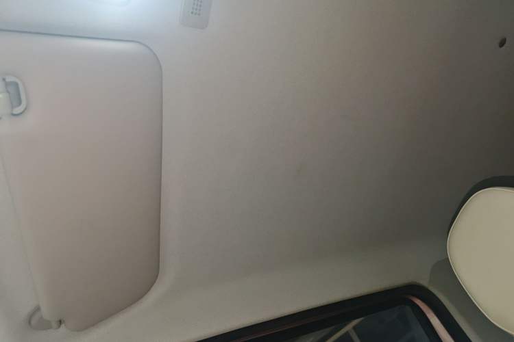 Used  Panda 2023 Panda Mini 200km Endurance Bear