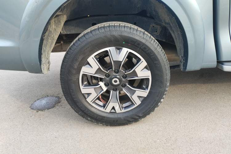 Used Great Wall Poer 2021 2.0T Global Version Passenger Automatic Diesel Two-Wheel Drive Comfort Trim Standard Cab GW4D20M
