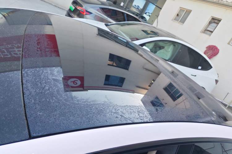 Used Tesla Model 3 2021 Revised Version Standard Range Rear-Wheel Drive Upgraded Edition 3D1