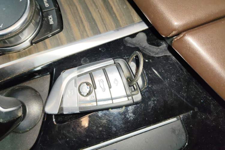 Used BMW 5 Series New Energy 2019 530Le Luxury Package
