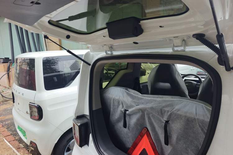 Used  Panda 2024 Panda Mini 200km Endurance Bear
