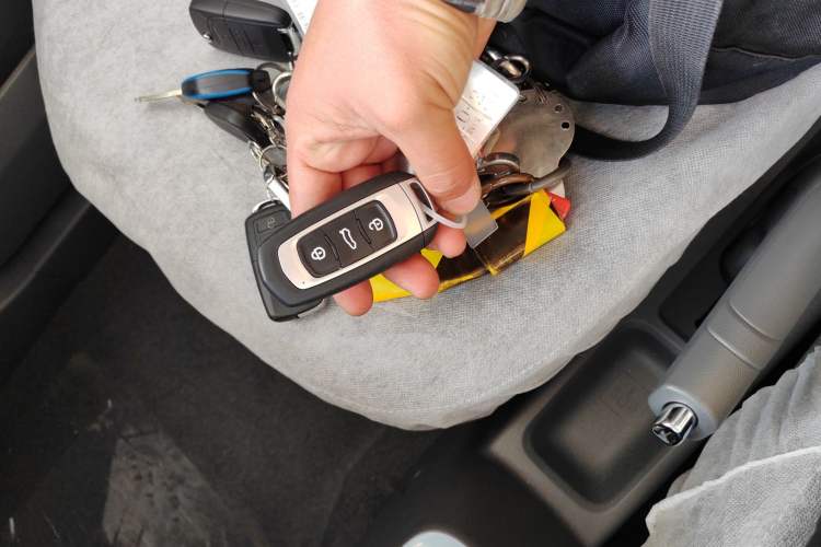 Used  Panda 2024 Panda Mini 200km Endurance Bear
