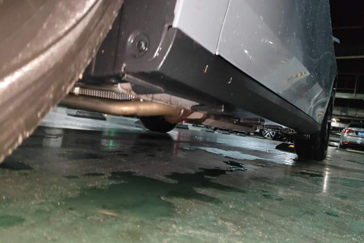 Used  L6 2023 60km PLUS
