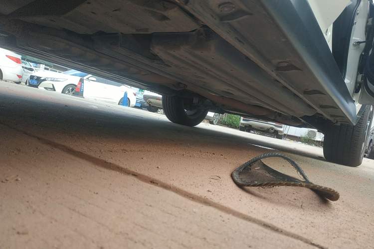 Used Subaru XV 2016 2.0i Ambition Edition
