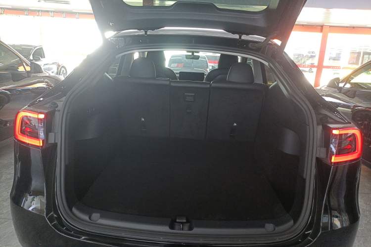 Used Tesla Model Y 2021 Standard Range Rear-Wheel Drive Version
