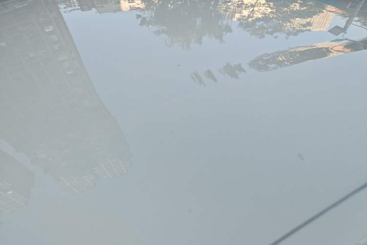 Used BYD Dolphin 2025 420km Free Edition