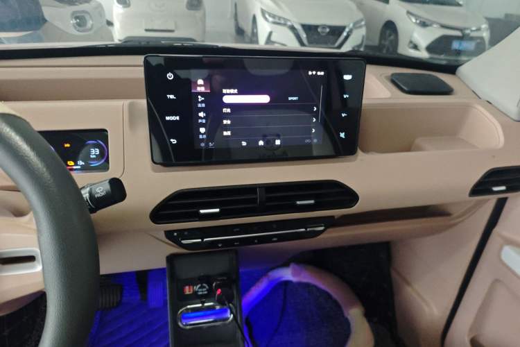 Used  Panda 2023 Panda Mini 200km Endurance Bear