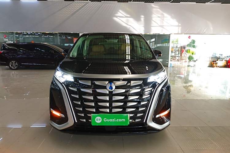 Used Denza D9 2024 DM-i 980 Four-Wheel Drive Flagship Model
