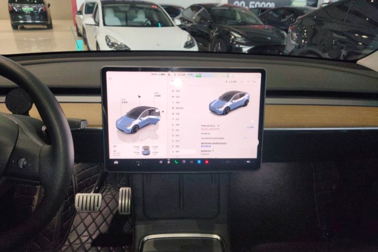 Used Tesla Model Y 2022 Performance High-Performance All-Wheel-Drive Version
