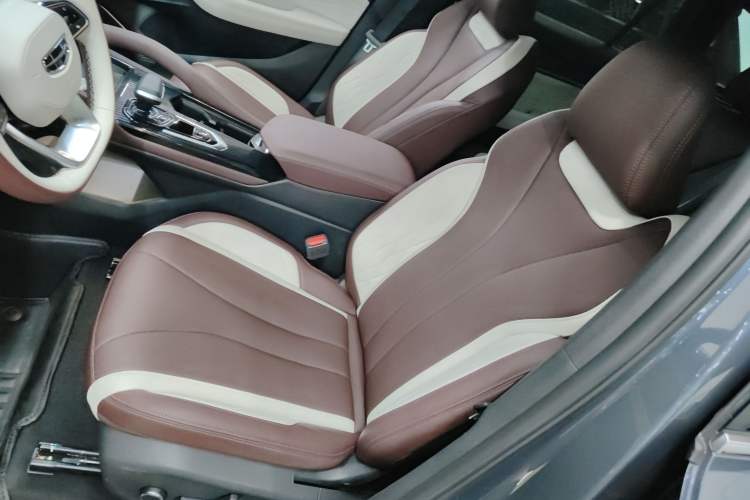 Used Geely Auto Monjaro L 2021 2.0TD DCT EVO Two-Wheel Drive Prestige Version
