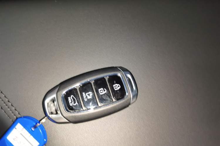 Used Hyundai Custo 2024 270TGDi LUX Prestige Edition